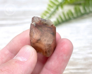 Amphibole Quartz Freeform #5
