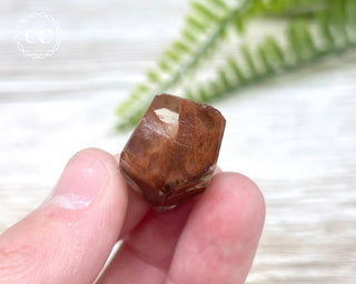 Amphibole Quartz Freeform #5