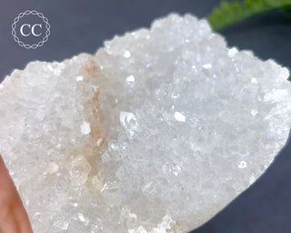 Anandalite - Aurora Quartz Cluster #17