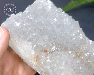 Anandalite - Aurora Quartz Cluster #17