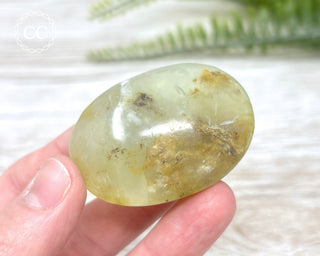 Andean Opal Palm Stone #2