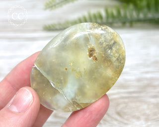 DISCOUNTED Andean Opal Palm Stone #1