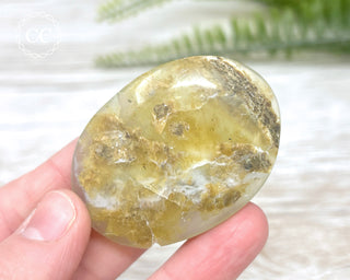 DISCOUNTED Andean Opal Palm Stone #1