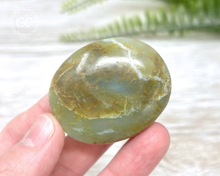 Andean Opal Palm Stone #3