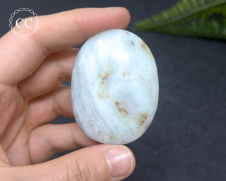 Andean Opal Palmstone #6