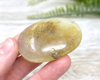 Andean Opal Palm Stone #4