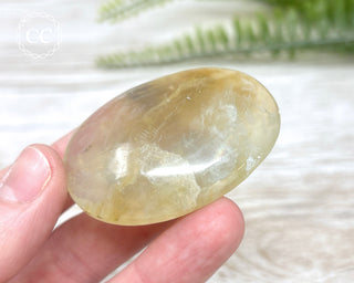 Andean Opal Palm Stone #4