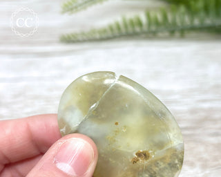 DISCOUNTED Andean Opal Palm Stone #1