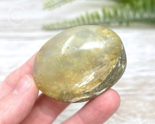 Andean Opal Palm Stone #5