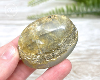 Andean Opal Palm Stone #5