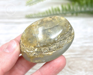 Andean Opal Palm Stone #5