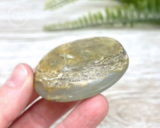 Andean Opal Palm Stone #5