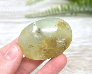 Andean Opal Palm Stone #2