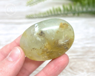 Andean Opal Palm Stone #2