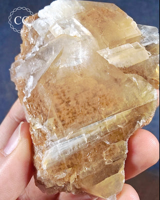 Angel Wing Calcite #8