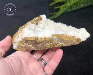 Angel Wing Calcite #1