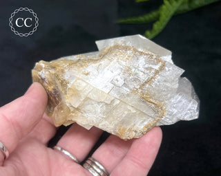 Angel Wing Calcite #6