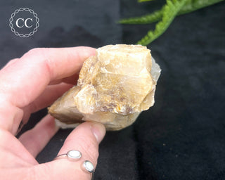 Angel Wing Calcite #6