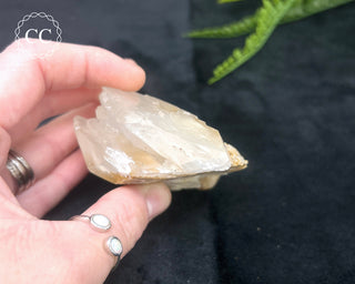 Angel Wing Calcite #6