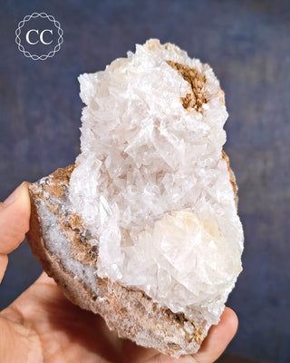 Angel Wing Calcite specimen from the more unusual location of Portugal. 