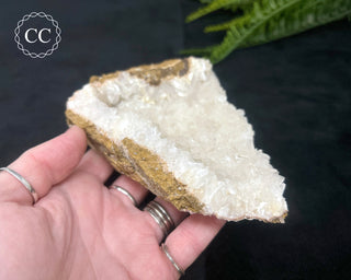 Angel Wing Calcite #1
