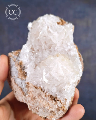 Angel Wing Calcite #2