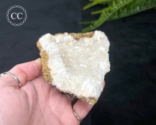 Angel Wing Calcite #1