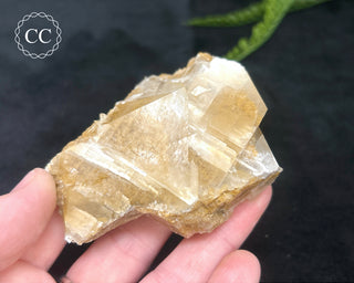 Angel Wing Calcite #8