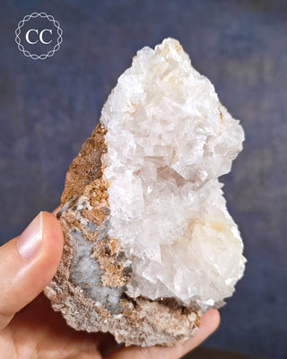 Angel Wing Calcite #2