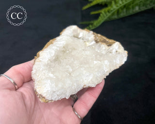 Angel Wing Calcite #1
