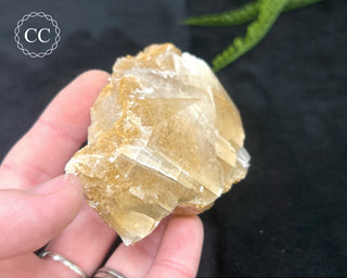 Angel Wing Calcite #8