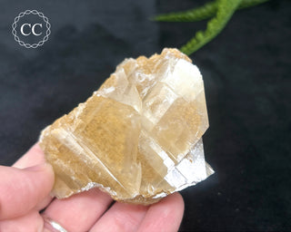 Angel Wing Calcite #8