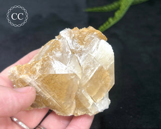 Angel Wing Calcite #8