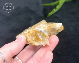 Angel Wing Calcite #8