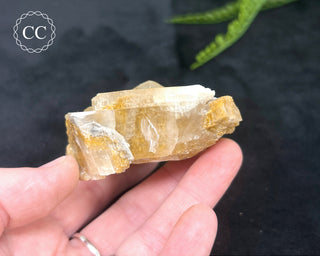 Angel Wing Calcite #8
