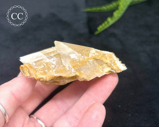 Angel Wing Calcite #8