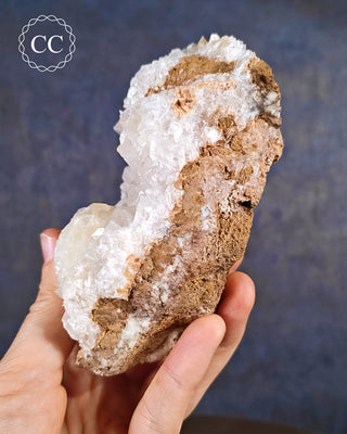 Angel Wing Calcite #2