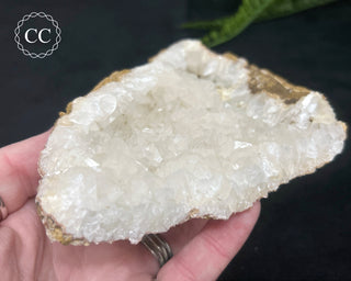 Angel Wing Calcite #1