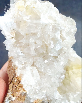 Angel Wing Calcite #2