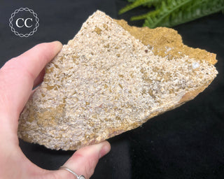 Angel Wing Calcite #1