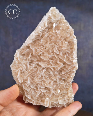 Angel Wing Calcite specimen from the more unusual location of Portugal. 