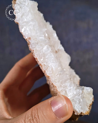 Angel Wing Calcite #1