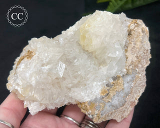 Angel Wing Calcite #2