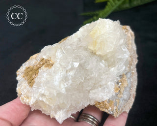 Angel Wing Calcite #2