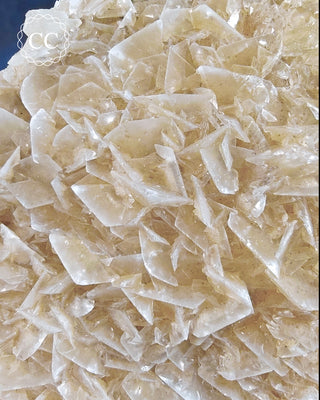 Angel Wing Calcite #3