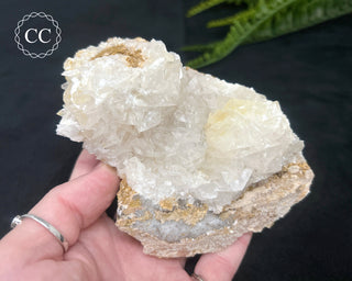 Angel Wing Calcite #2