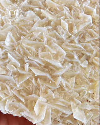 Angel Wing Calcite #3