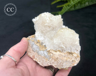 Angel Wing Calcite #2