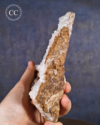 Angel Wing Calcite #1