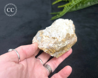 Angel Wing Calcite #2